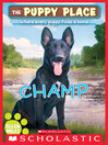Cover image for Champ